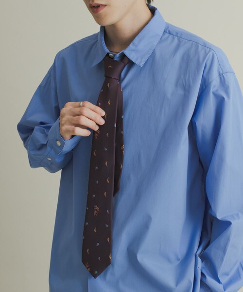 SENSE OF PLACE by URBAN RESEARCH（センスオブプレイスバイアーバンリサーチ）の「アソートネクタイ（ネクタイ・メンズ・BLACK/BROWN/GREEN/PURPLE/RED・one）」の4枚目の写真