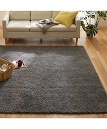 nissen | 洗える防ダニ・抗菌防臭シャギーラグ(ラグ/マット)