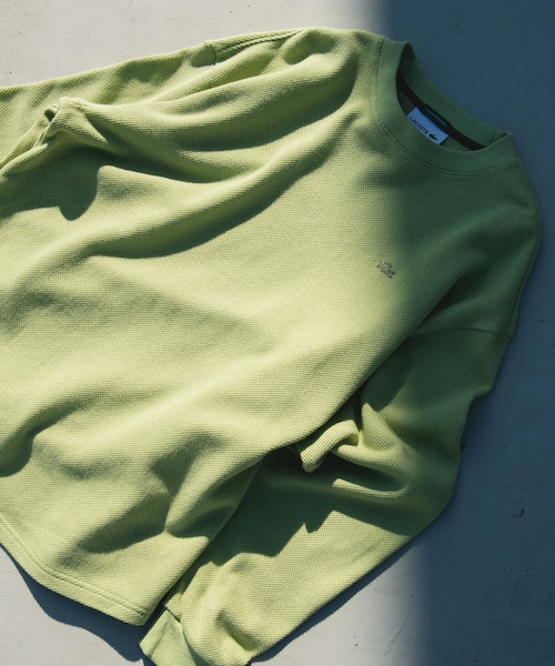 URBAN RESEARCH DOORS（アーバンリサーチドアーズ）の「『別注』LACOSTE×DOORS　THICK PIQUE ROUND LONG-SLEEVE（Tシャツ/カットソー・メンズ・HAMMAM/ABYSS BLUE/BIRCH/BLACK BIRD・3/4/5）」の20枚目の写真