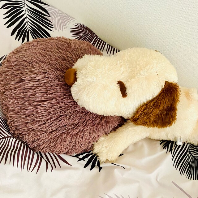 minapyon🐻