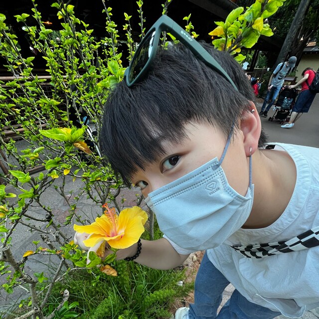 ktcʕ •ᴥ•ʔ