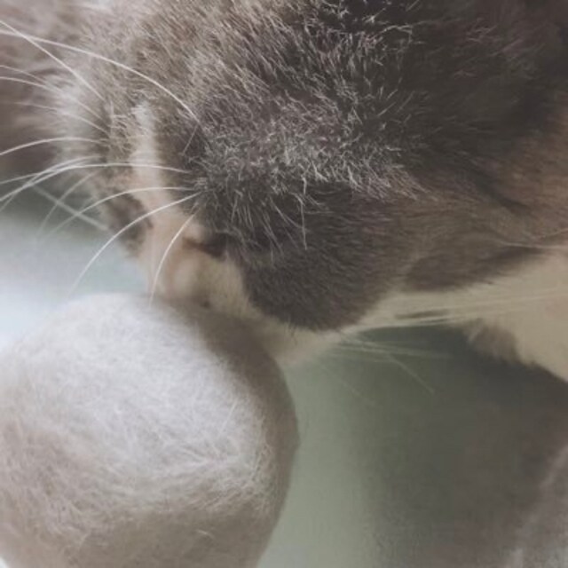 よしき