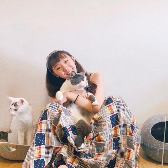 安琪