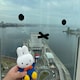 ほーのアイコン