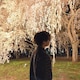223のアイコン