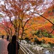 milaのアイコン