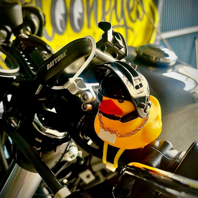 SSM48SPORTSTER