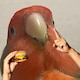♾のアイコン