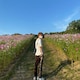 うめのアイコン