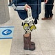 Kannaのアイコン