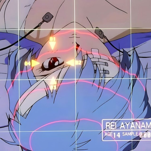 33