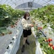 akss1012のアイコン