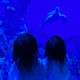 ⁑hzk⁑のアイコン