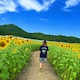 星✰*ﾟのアイコン