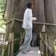 メシロナのアイコン