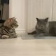 ひかりのアイコン