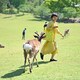 totoro4のアイコン