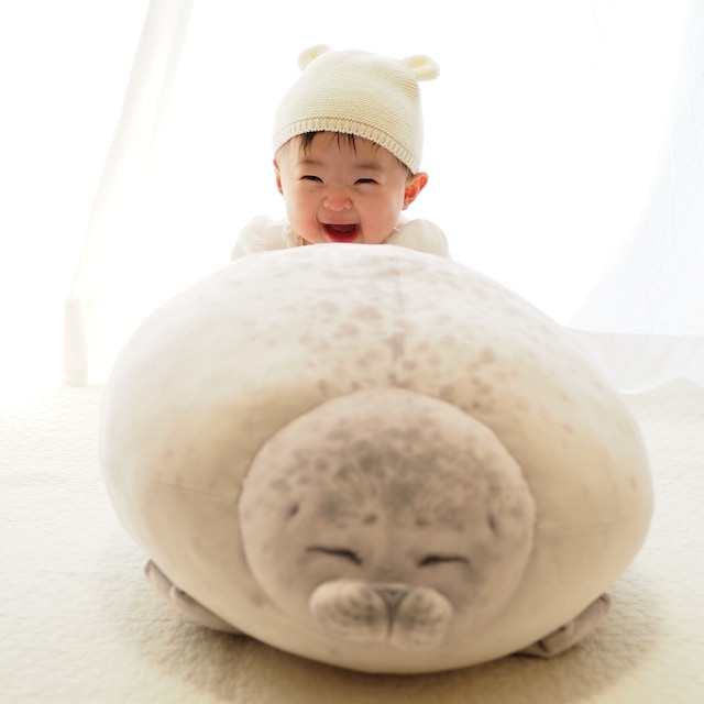 ぴかり