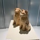 まつやまこうたのアイコン