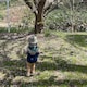 Hareのアイコン