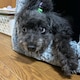 とむぱちのアイコン