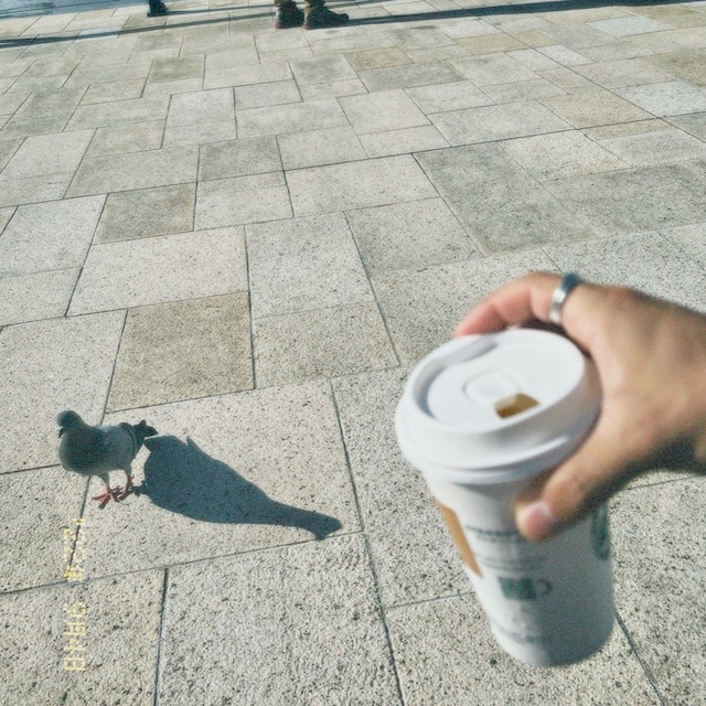 ぽん