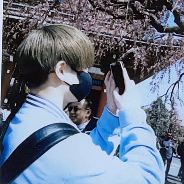 幹桜