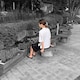 夜城 凪音のアイコン