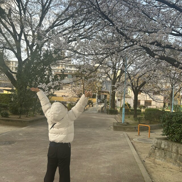 みるチム