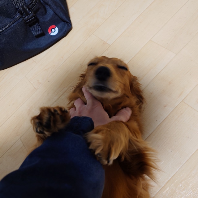 けー