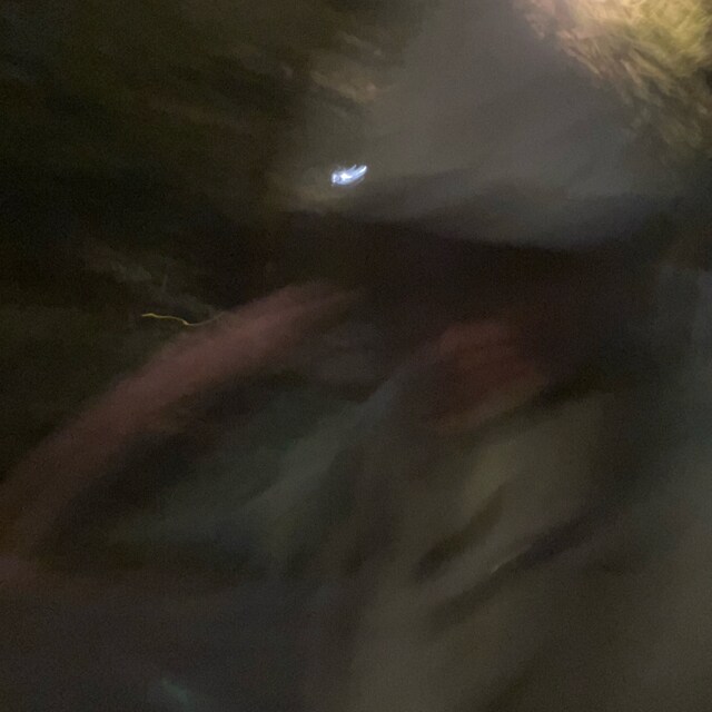 のすけ