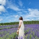 rii0313のアイコン