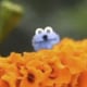 moneのアイコン