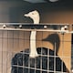 tenのアイコン