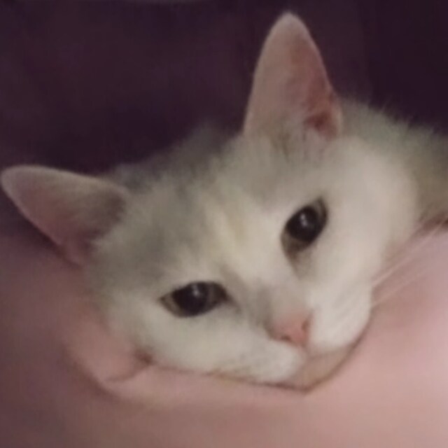 MK_I