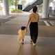 sのアイコン