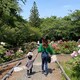 aikatineyのアイコン