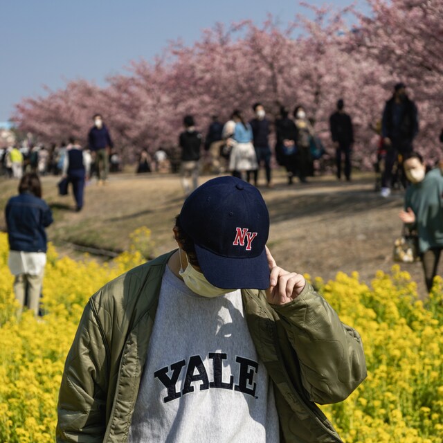yuto