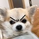 楽のアイコン