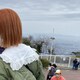 saaのアイコン