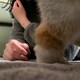 きろのアイコン