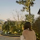 minicoのアイコン