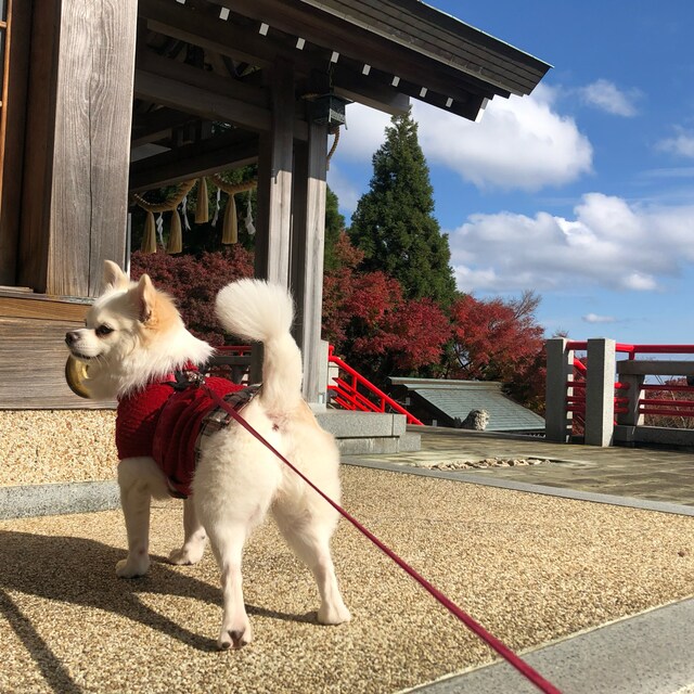 文哉
