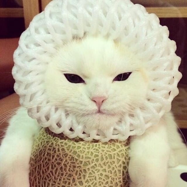 まー ん