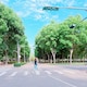 oliveyang