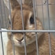 翔輝のアイコン
