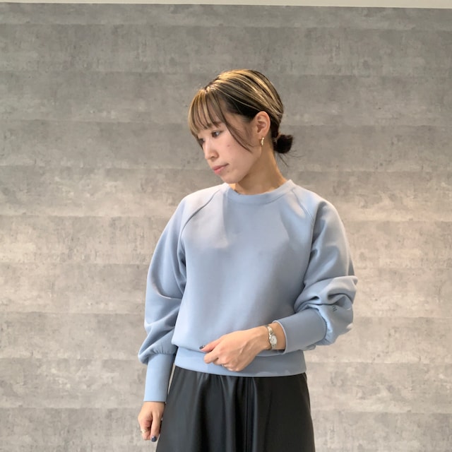 noltakagii