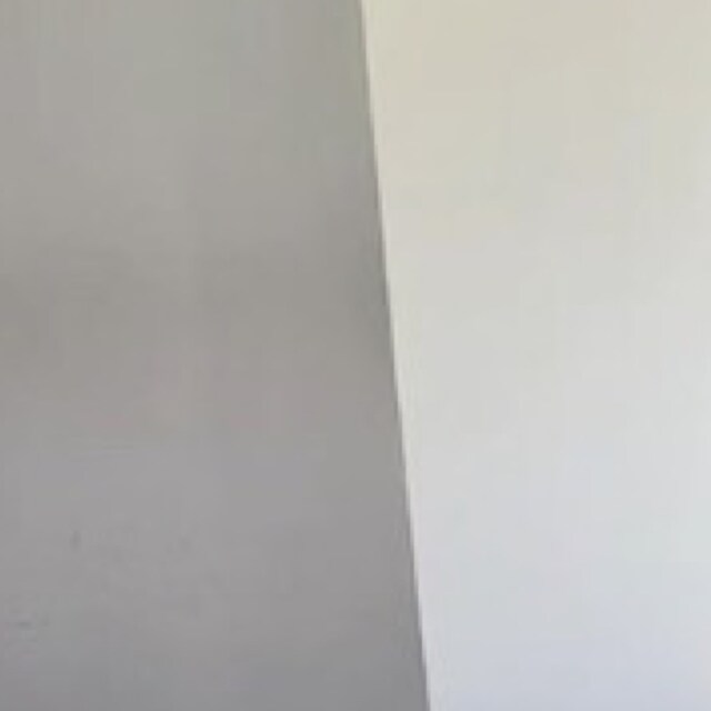 🐦‍⬛