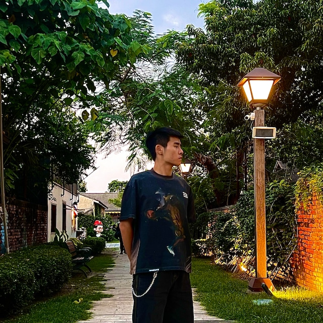 ChenYi Wei