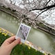 madderのアイコン